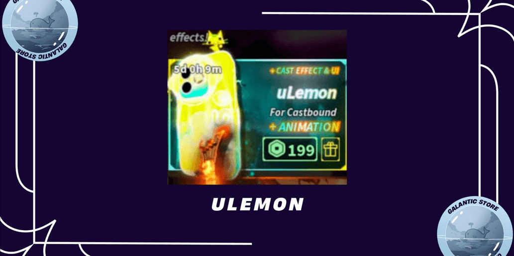 Product Showcase