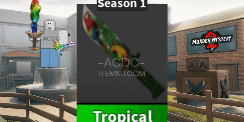 Product Showcase