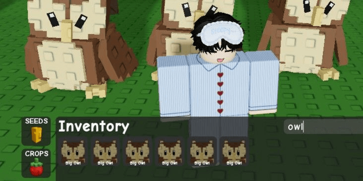 Product Showcase