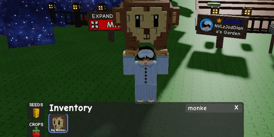 Product Showcase