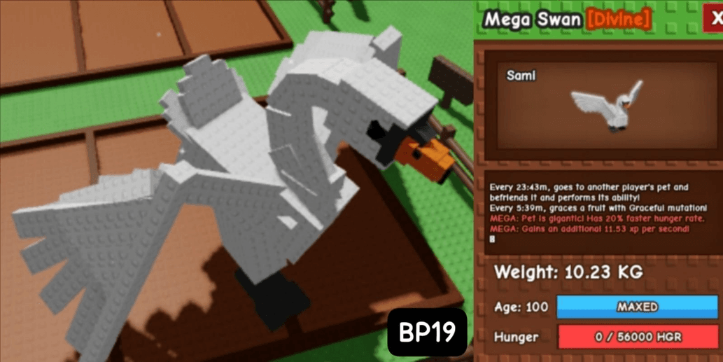 Product Showcase
