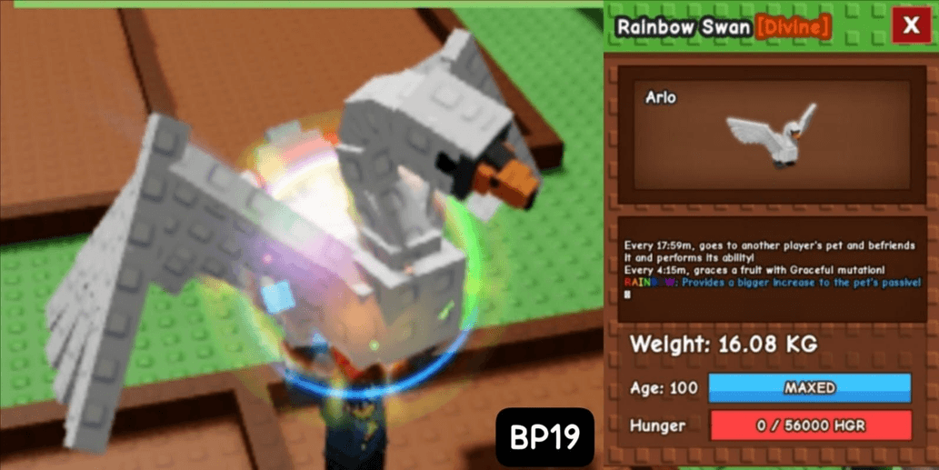 Product Showcase