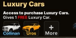Product Showcase