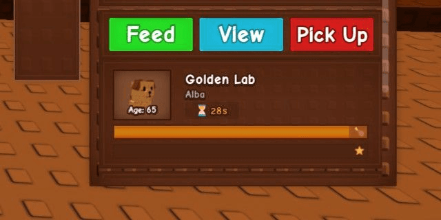 Product Showcase