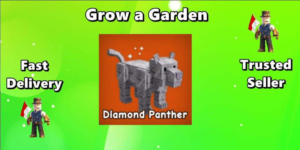 Product Showcase
