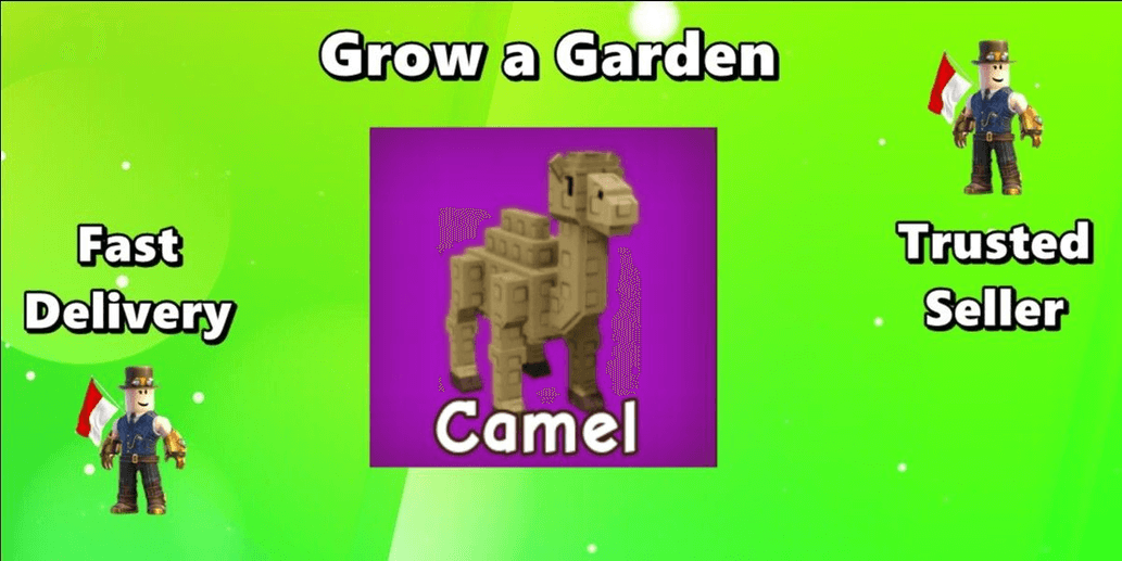 Product Showcase