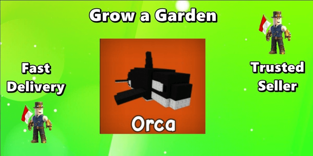 Product Showcase