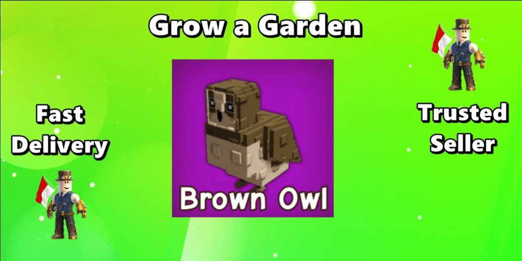 Product Showcase