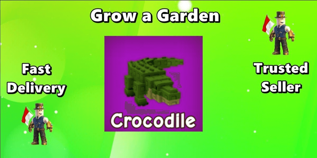 Product Showcase