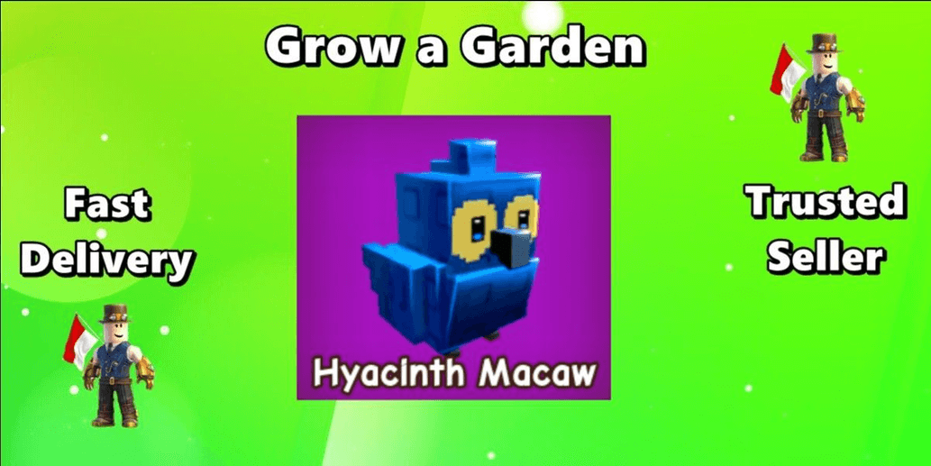 Product Showcase