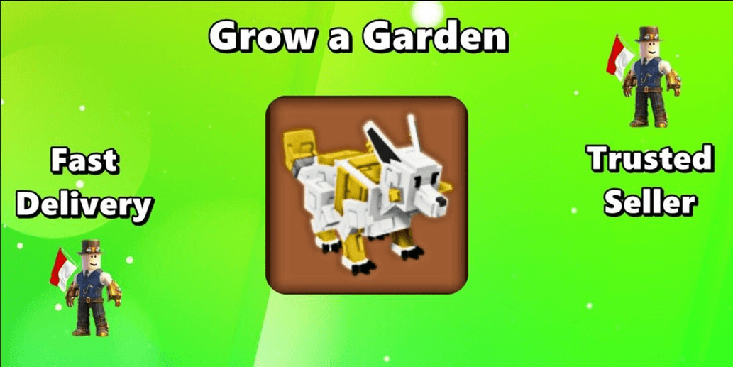 Product Showcase