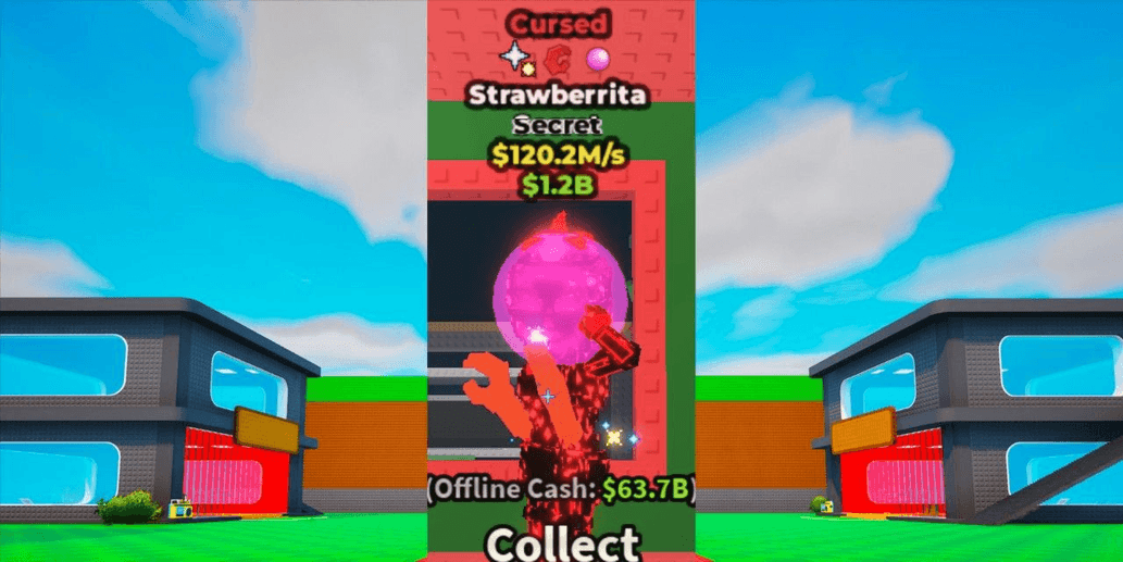 Product Showcase