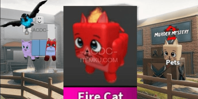 Product Showcase