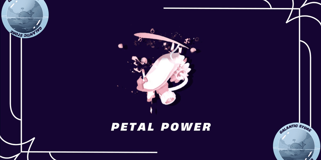 Product Showcase