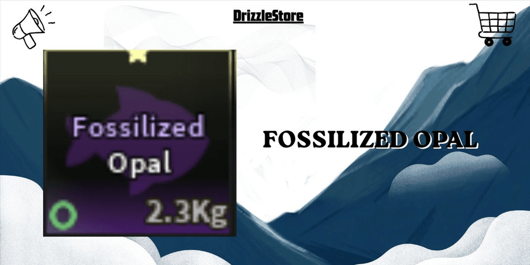 Product Showcase