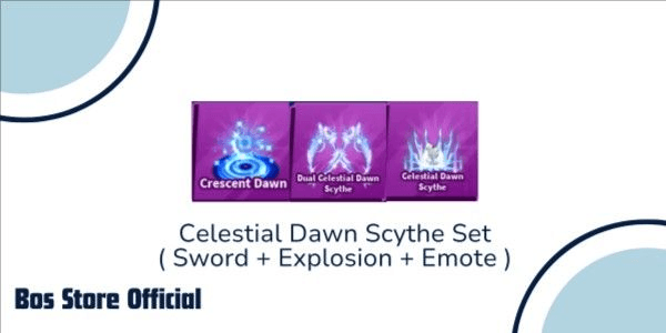 Product Showcase