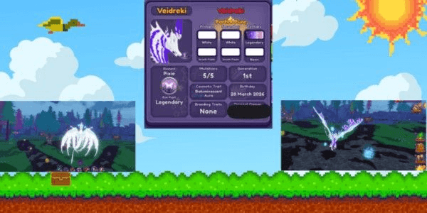Product Showcase