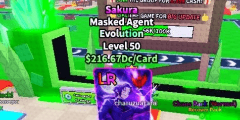 Product Showcase