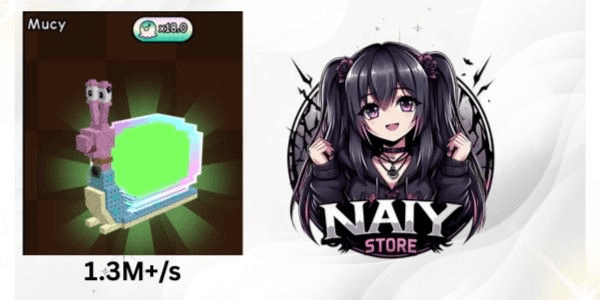 Product Showcase