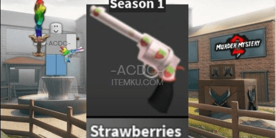 Product Showcase