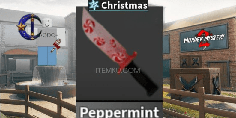 Product Showcase