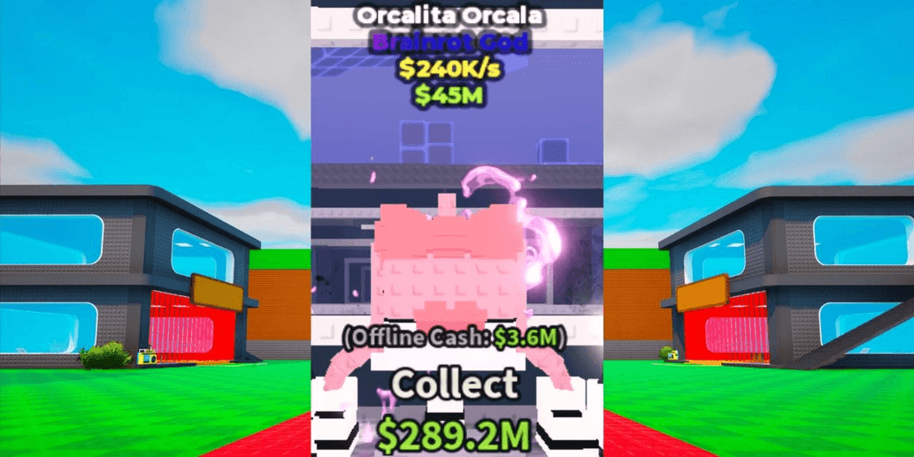 Product Showcase