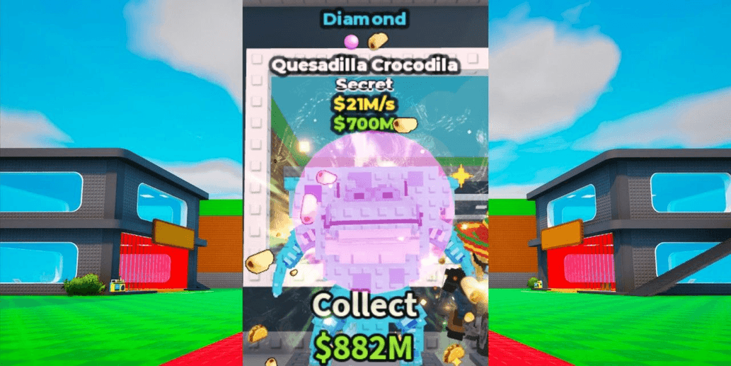 Product Showcase