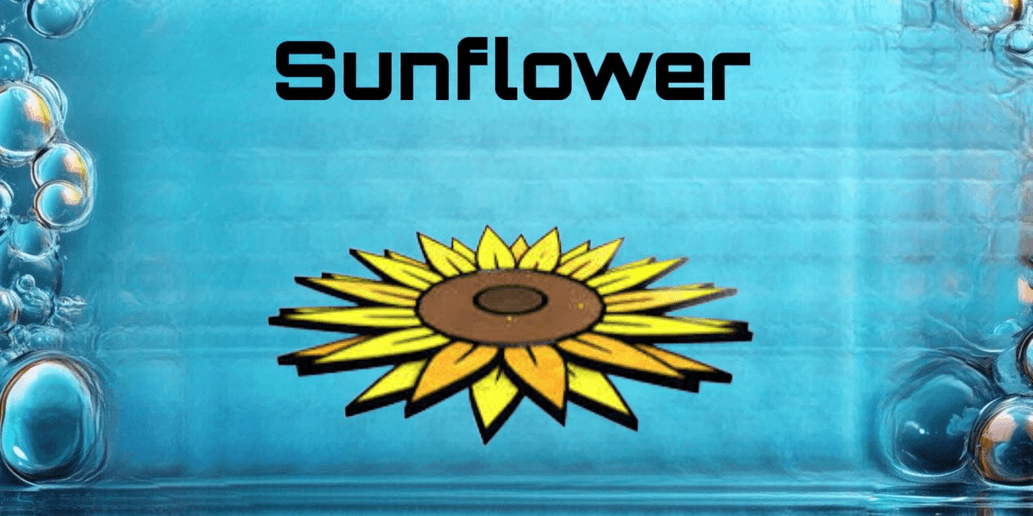 Product Showcase