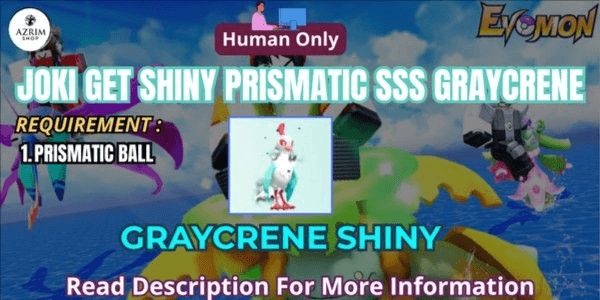 Product Showcase