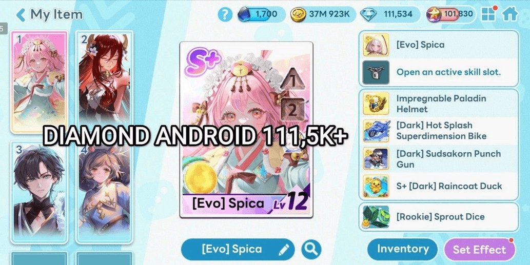 Product Showcase