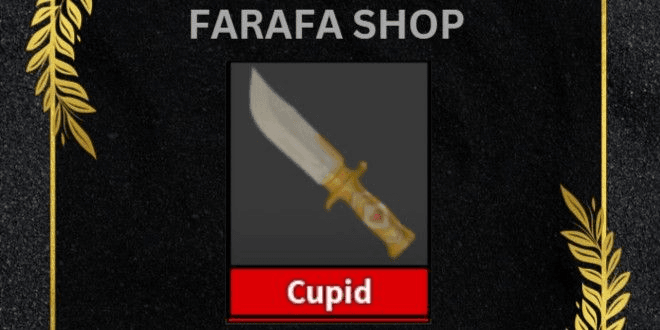 Product Showcase