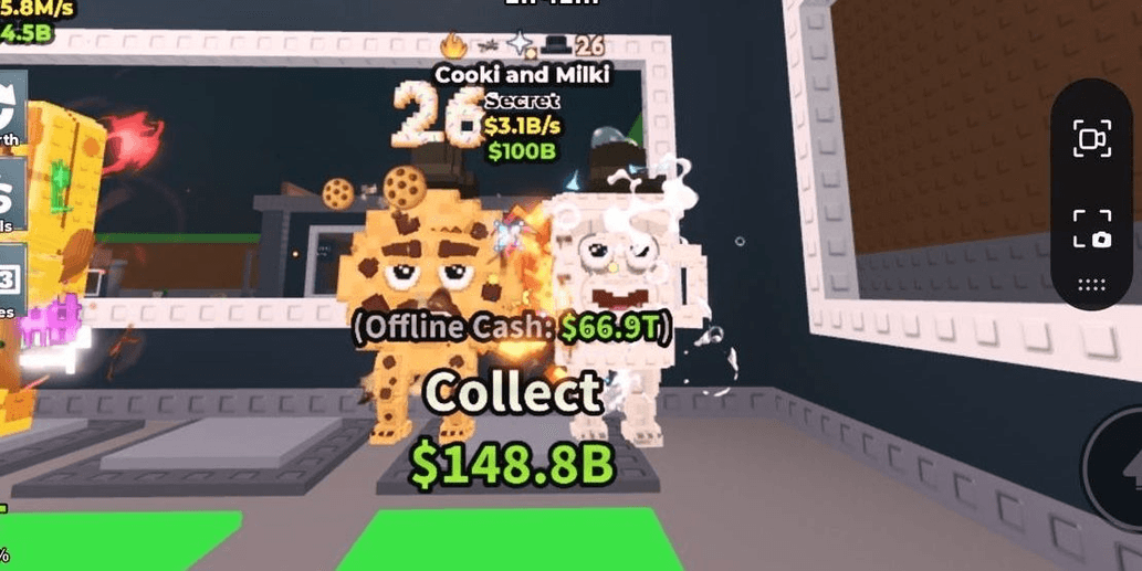 Product Showcase