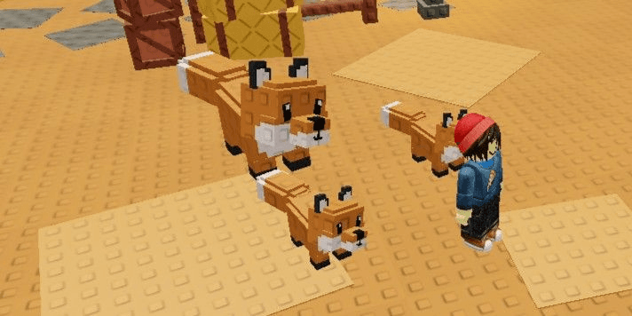 Product Showcase