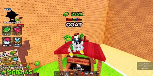 Product Showcase