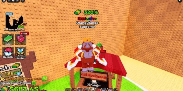 Product Showcase