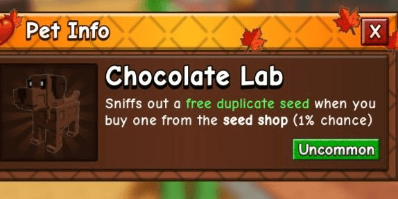 Product Showcase