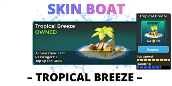 Product Showcase