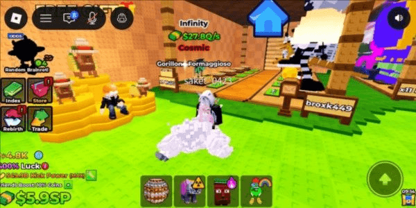 Product Showcase