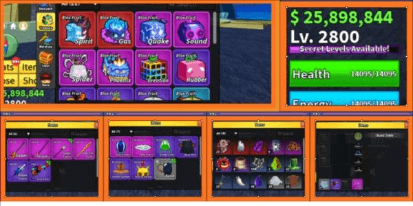 Product Showcase