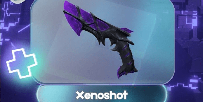 Product Showcase