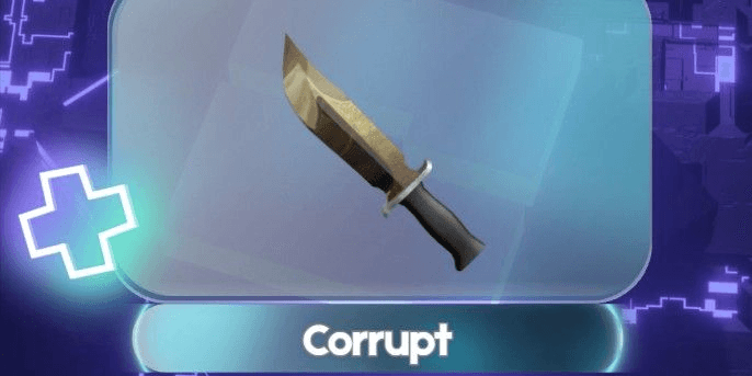 Product Showcase
