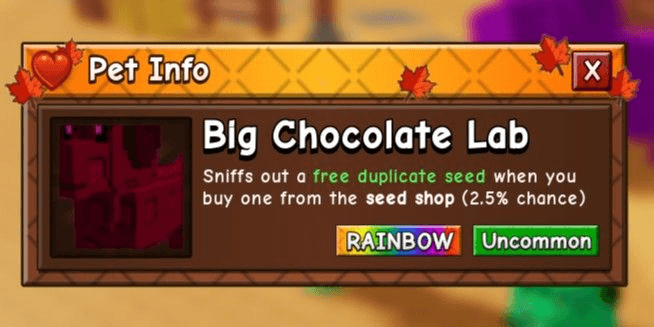 Product Showcase