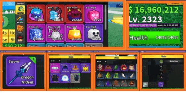 Product Showcase