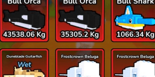 Product Showcase