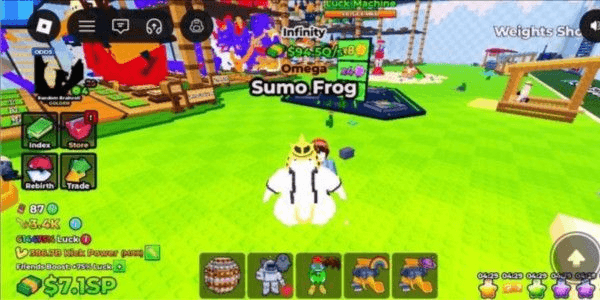 Product Showcase