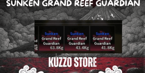 Product Showcase