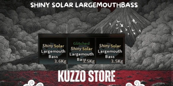 Product Showcase