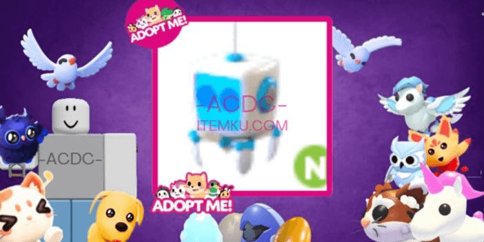 Product Showcase