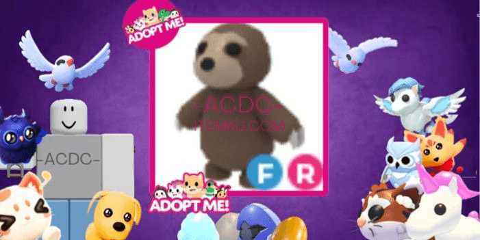 Product Showcase