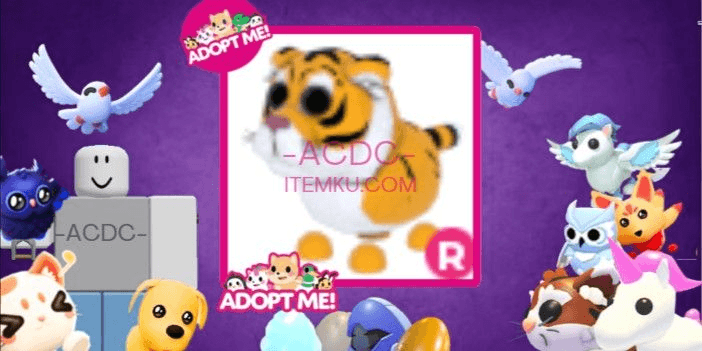 Product Showcase